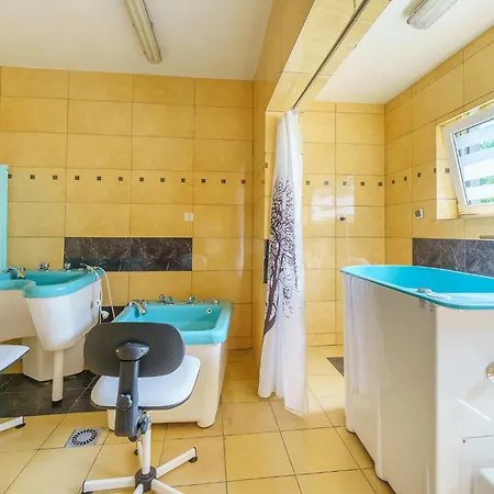 منتجع Centrum Rehabilitacyjno - Wczasowe Amber *